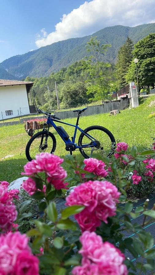 B&B Stari Mlin - Vecchio Mulino San Giorgio  外观 照片